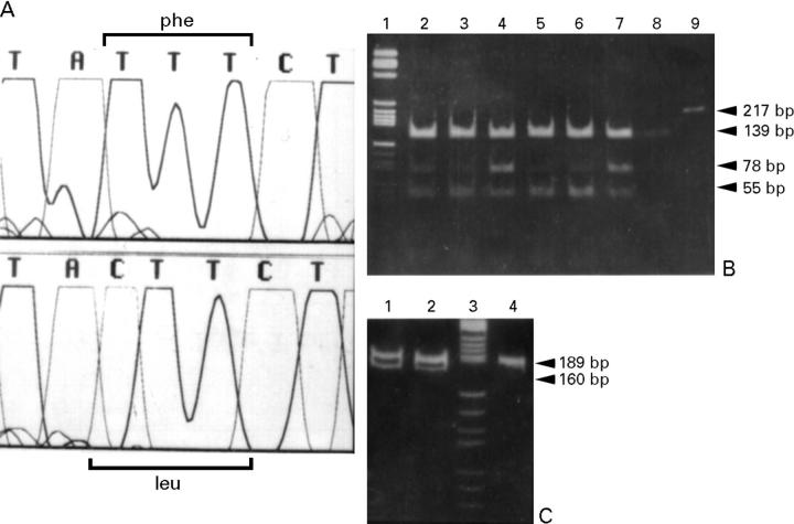 Figure 3  