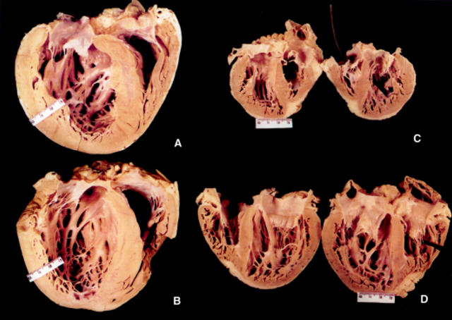 Figure 4  