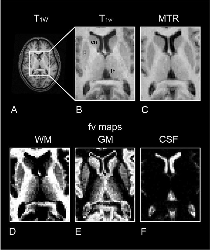 Fig. 9