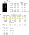 Figure 4—figure supplement 1.