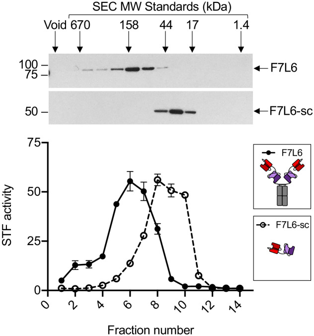 Figure 2—figure supplement 3.