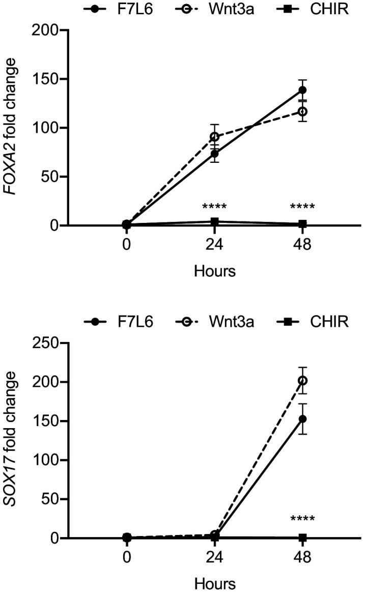 Figure 3—figure supplement 2.