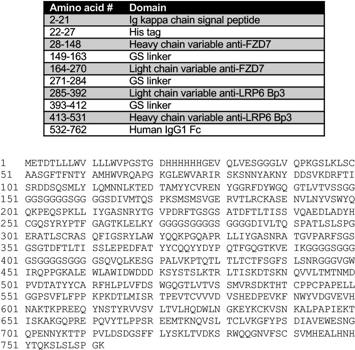 Figure 1—figure supplement 1.