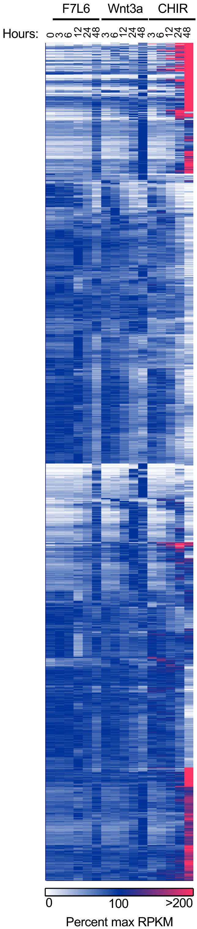 Figure 3—figure supplement 1.