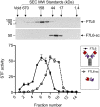 Figure 2—figure supplement 3.
