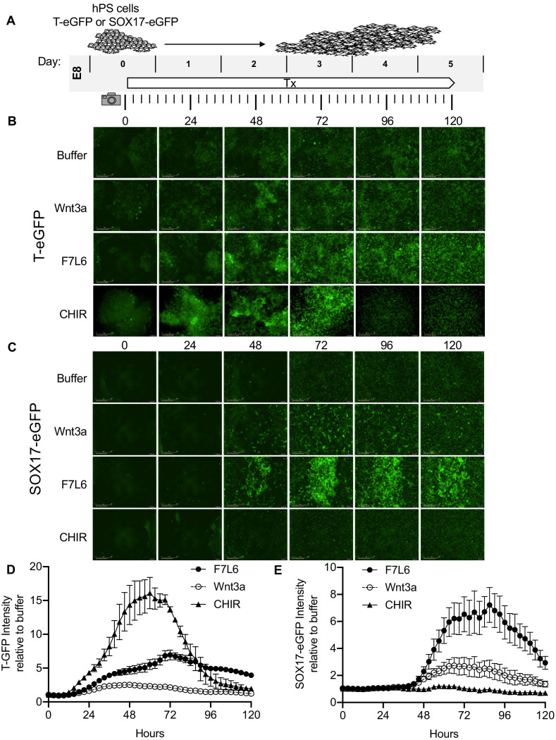 Figure 6.