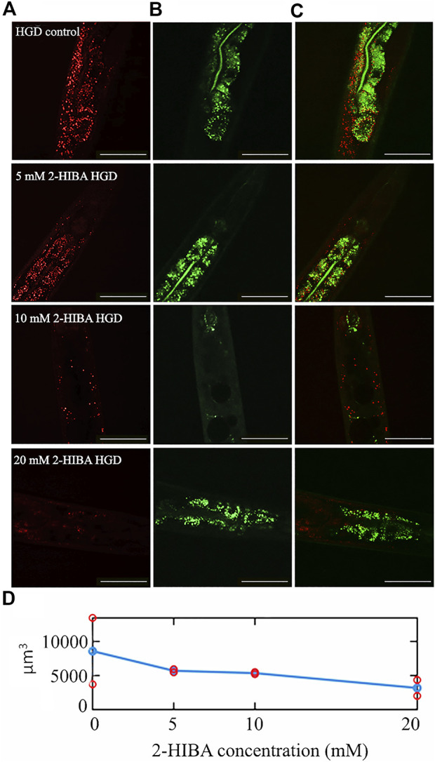 FIGURE 13