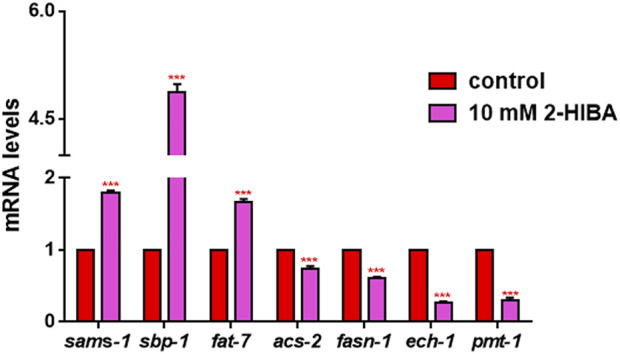 FIGURE 9