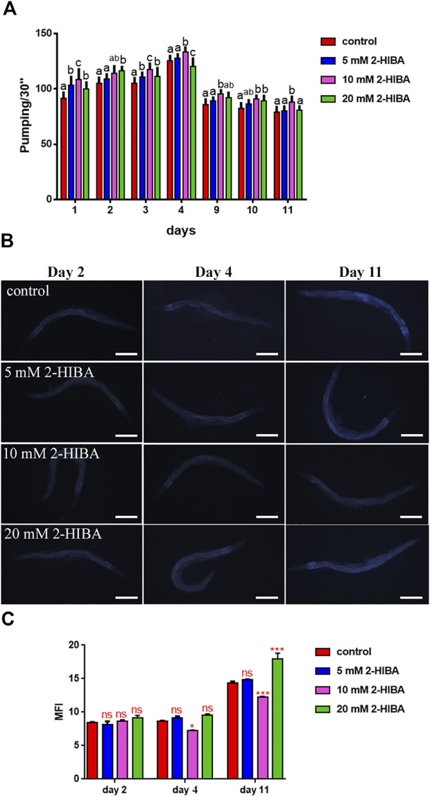 FIGURE 2