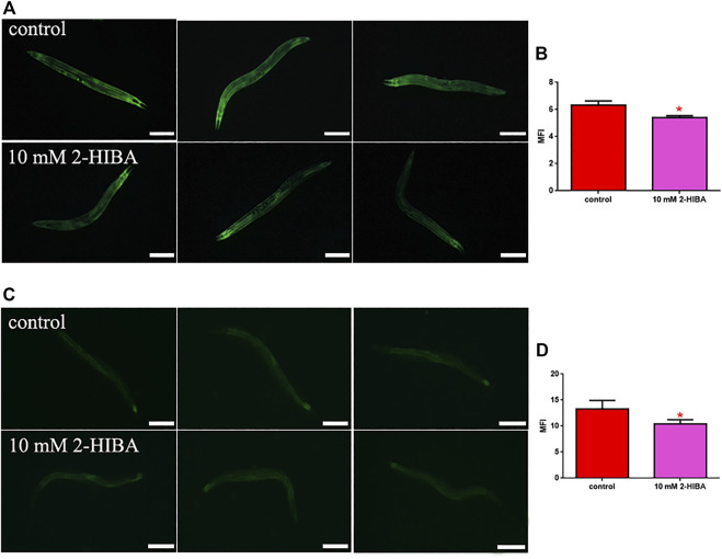 FIGURE 4