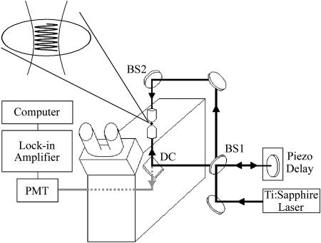 FIGURE 1