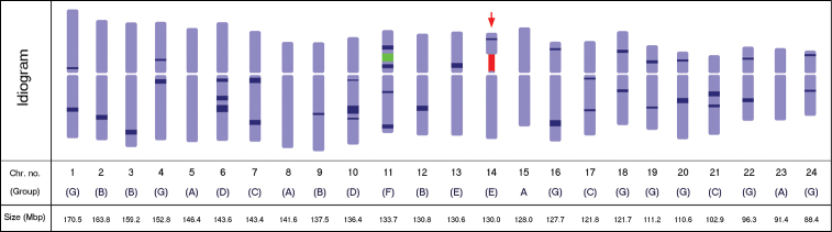 Figure 3.