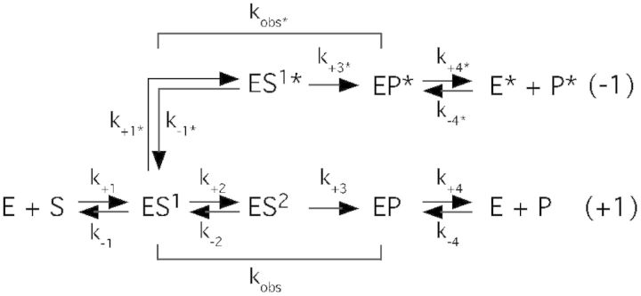 Scheme 1.