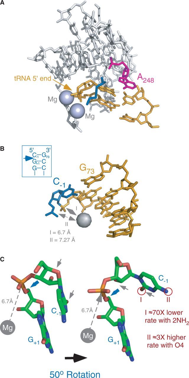 Figure 5.