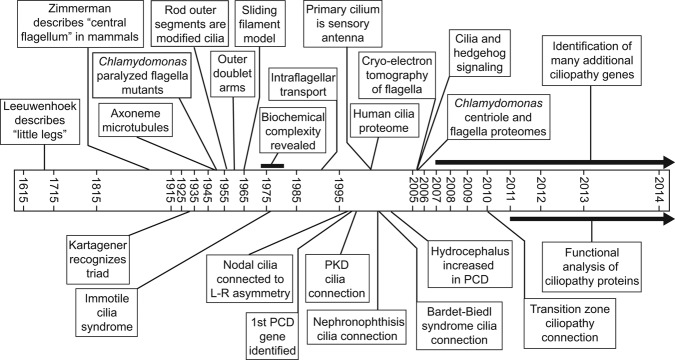 graphic file with name biu174ufig1.jpg