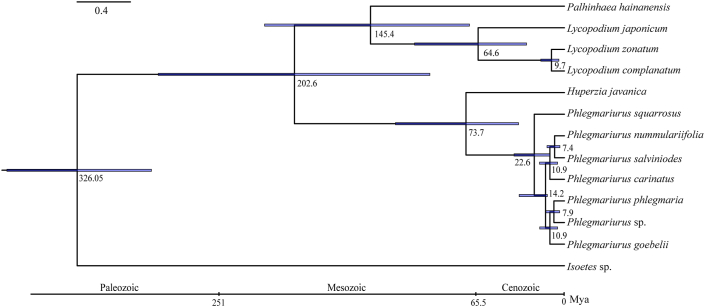 Fig. 4