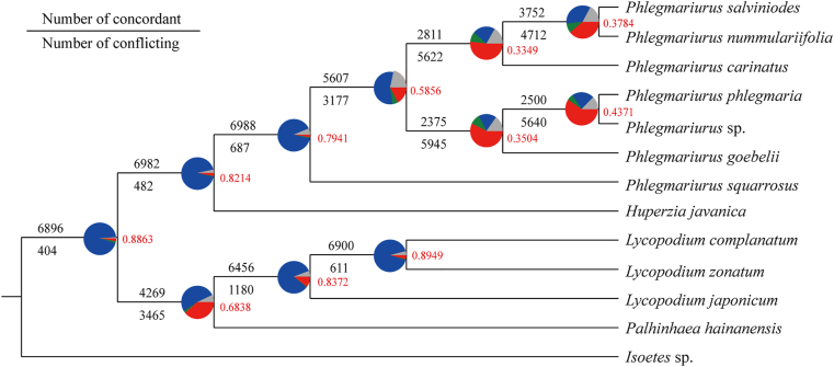 Fig. 7