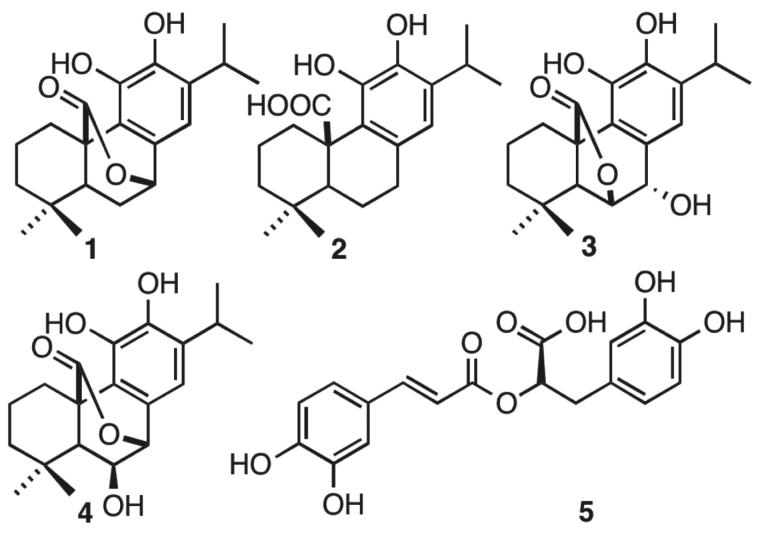 Figure 1.