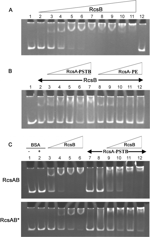 Fig 5