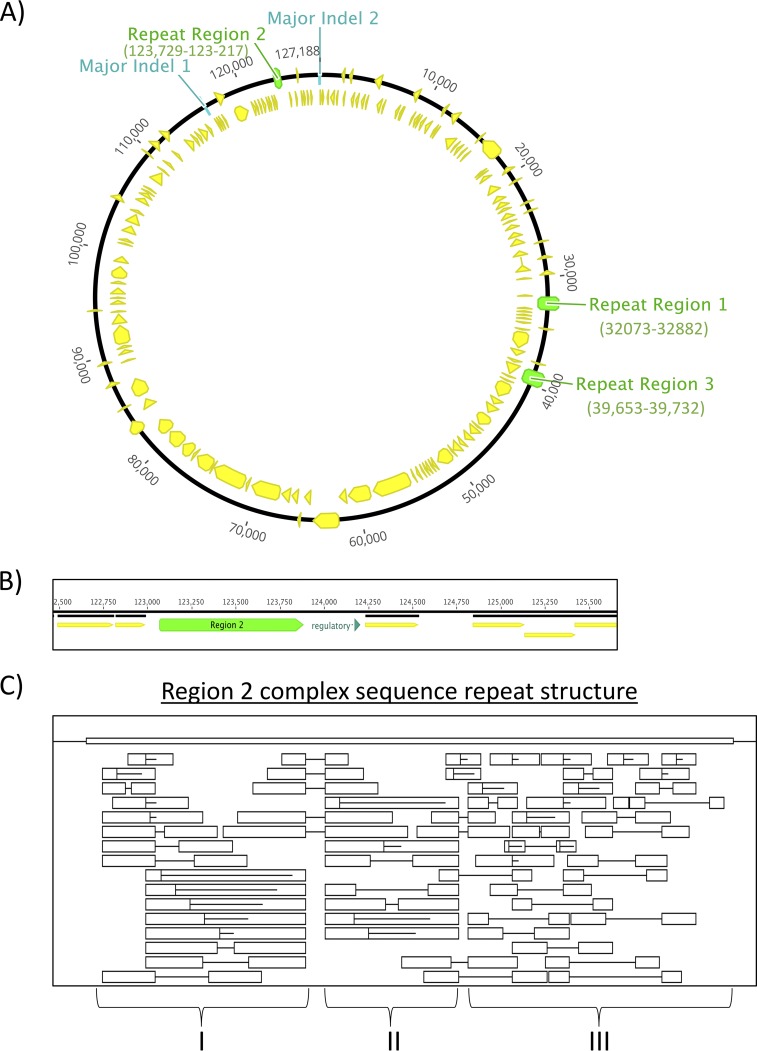 FIG 3