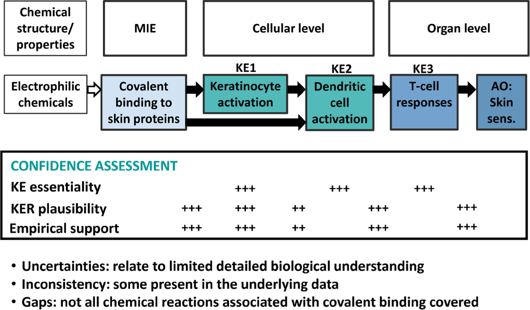 Fig. 3: