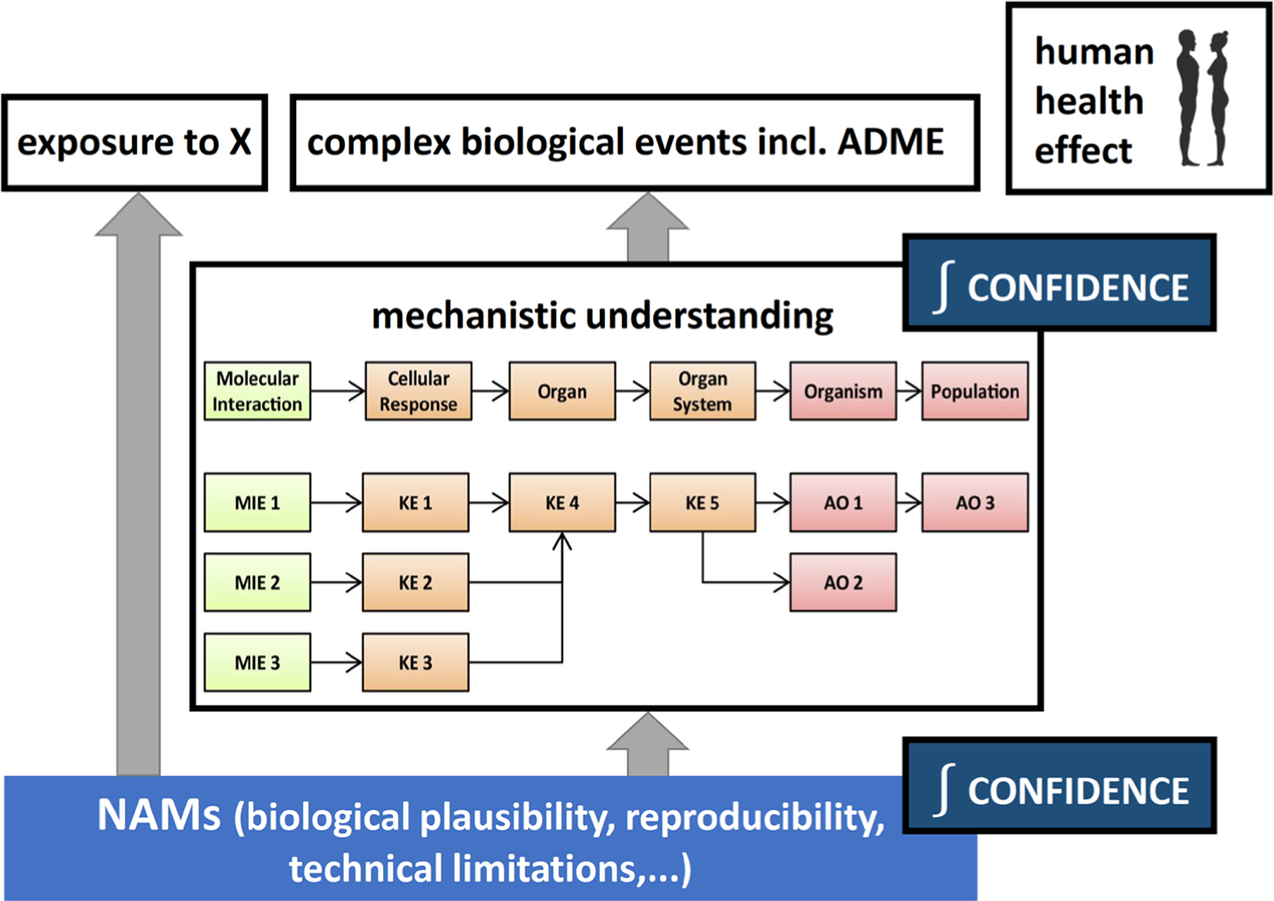 Fig. 2: