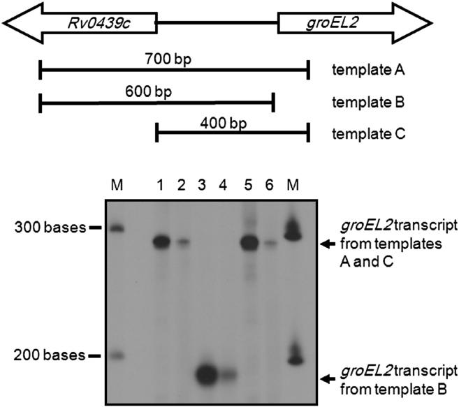 Figure 2