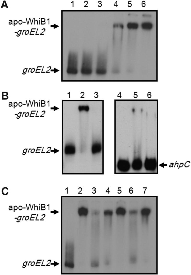 Figure 1