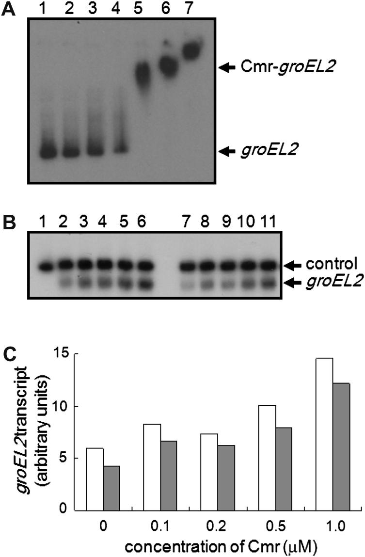 Figure 4