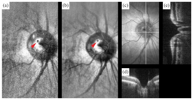 Fig. 6