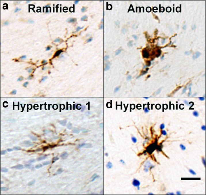 Fig. 3