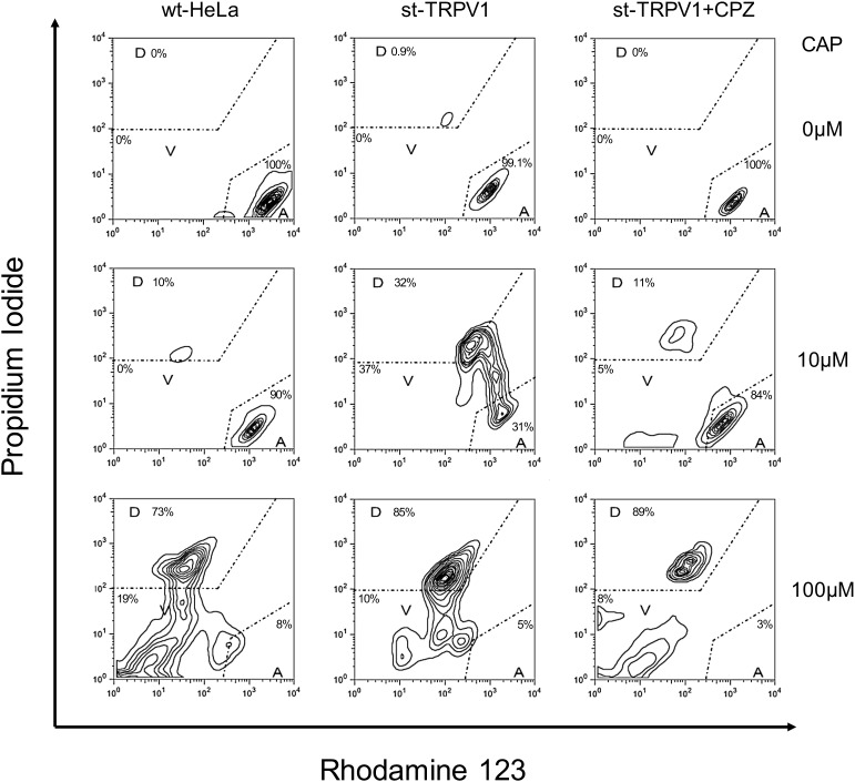 FIGURE 2