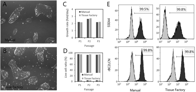 Fig. 7