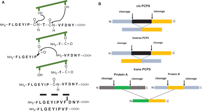 Figure 1