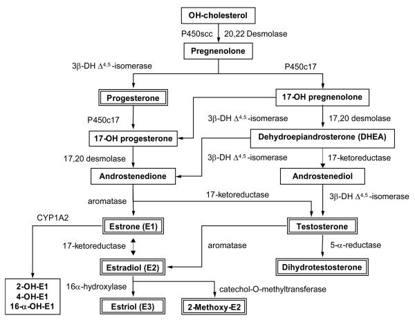 Fig.1