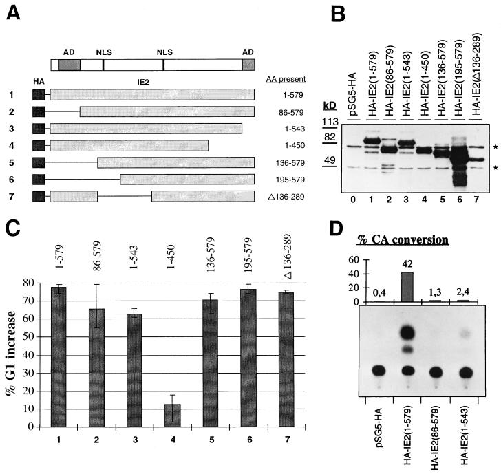 FIG. 7