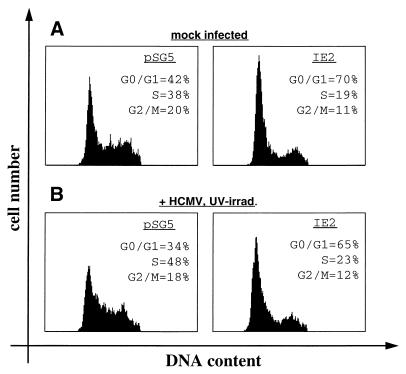 FIG. 6