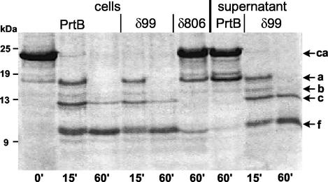 FIG. 6.