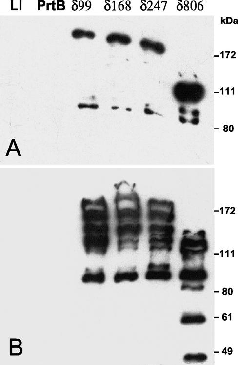 FIG. 5.