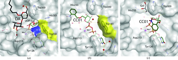 Figure 2