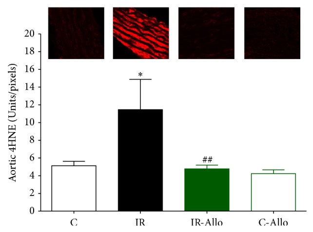 Figure 5