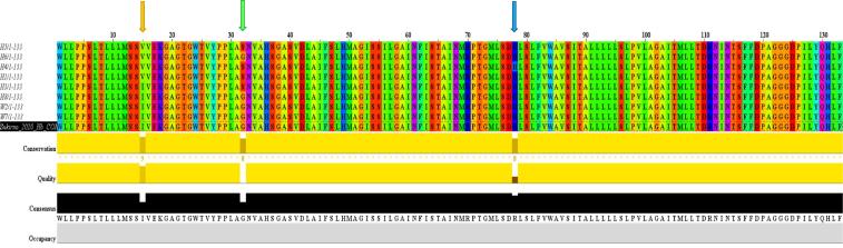 Fig. 11