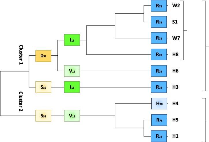 Fig. 12