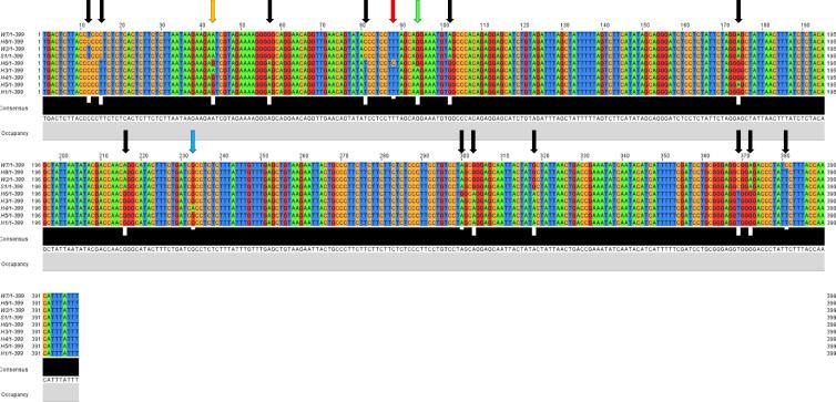 Fig. 10