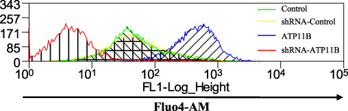 Figure 6