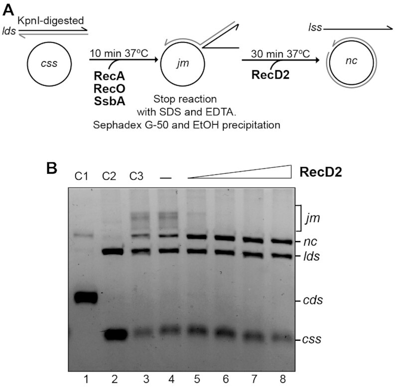 Figure 5.