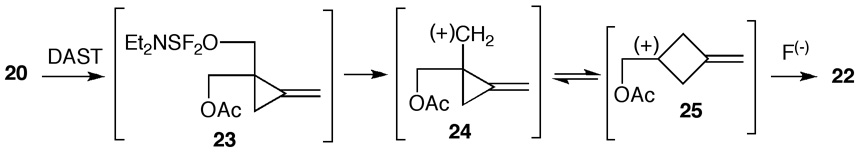 Scheme 2