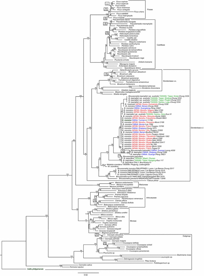 Fig. 2