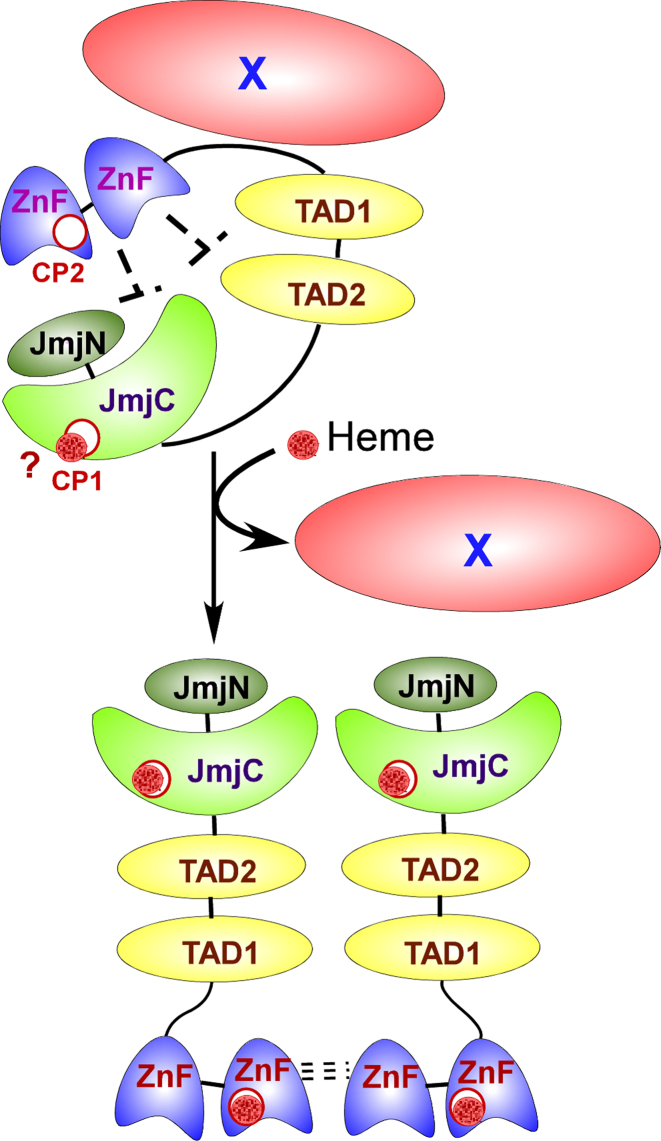 Figure 11.