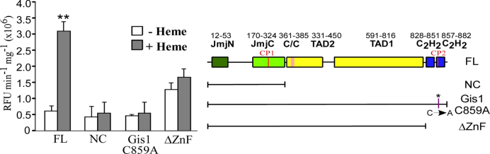 Figure 10.